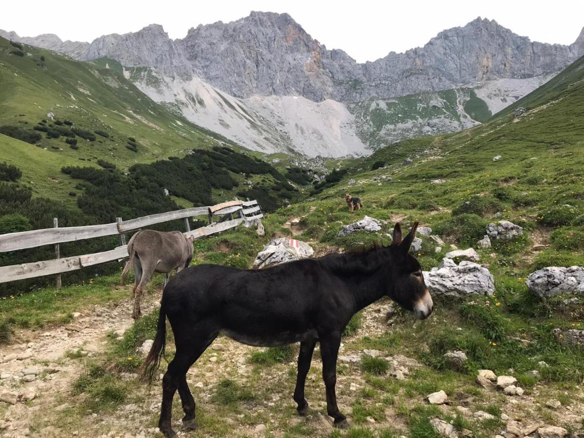 Hechenblaikner Appartamento Maurach (Achensee)